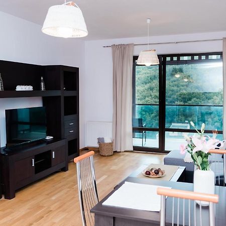 Nature Escape Apartment Braszów Zewnętrze zdjęcie