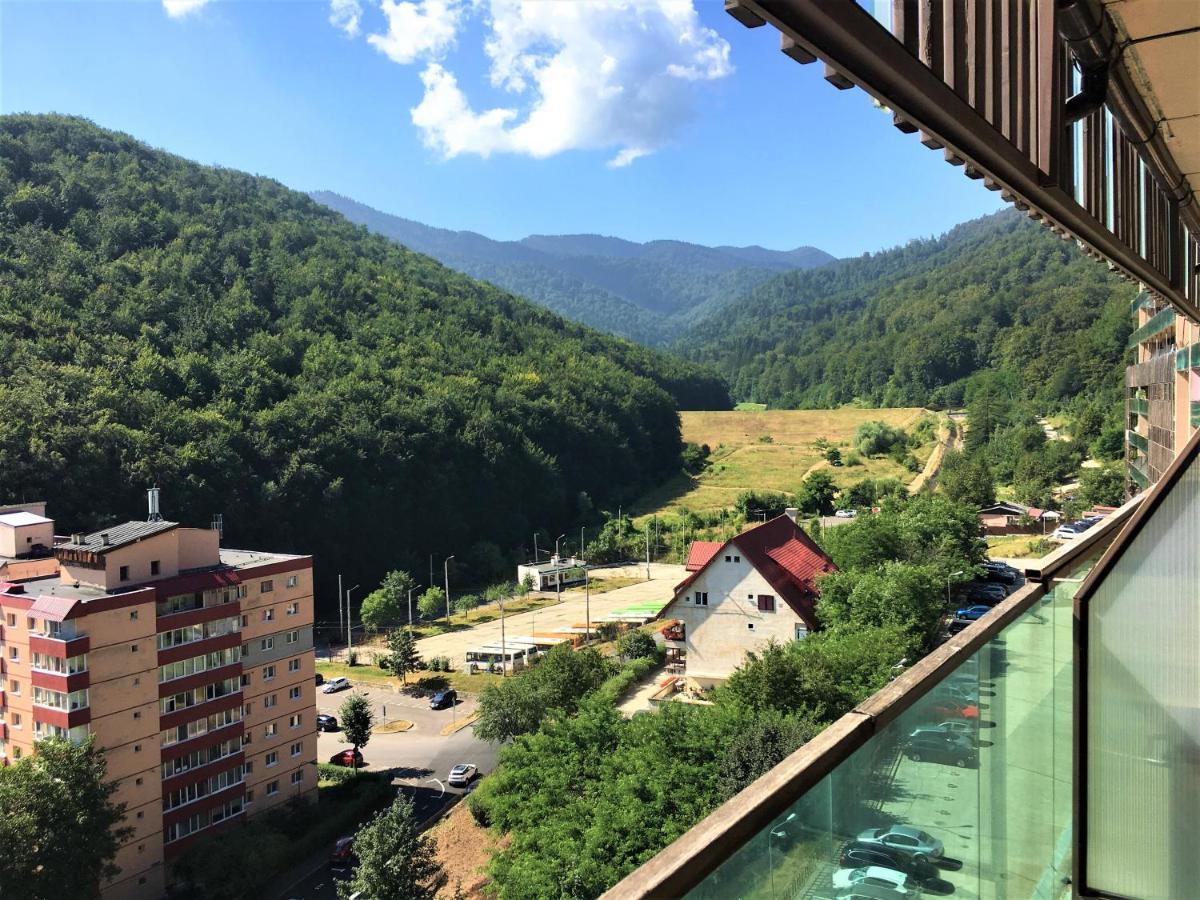 Nature Escape Apartment Braszów Zewnętrze zdjęcie