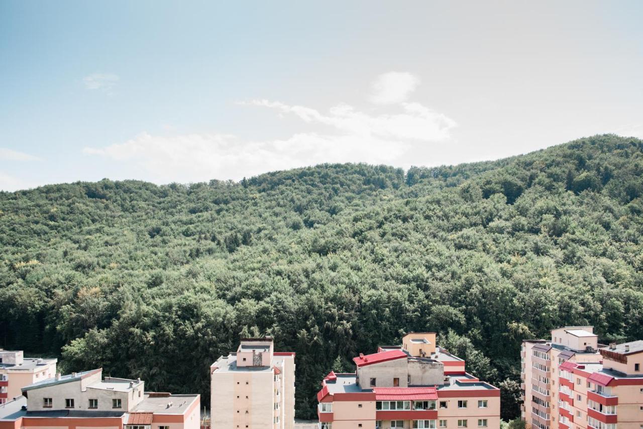 Nature Escape Apartment Braszów Zewnętrze zdjęcie